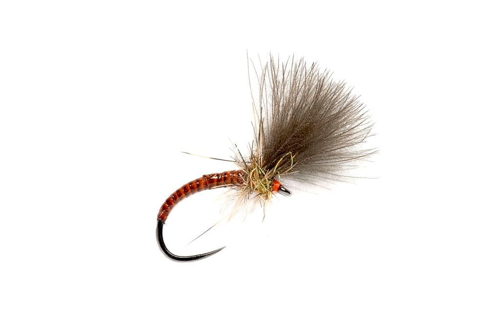 CDC emerger