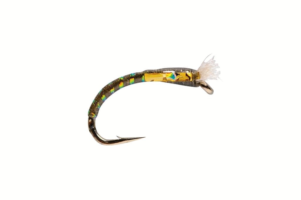 Olive buzzer