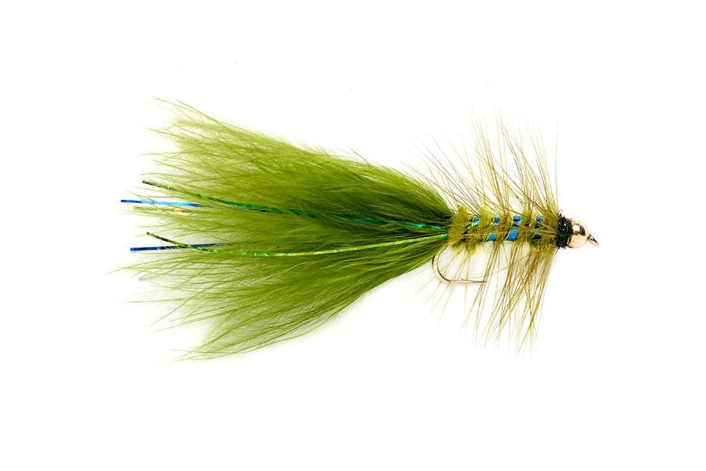 Olive damsel