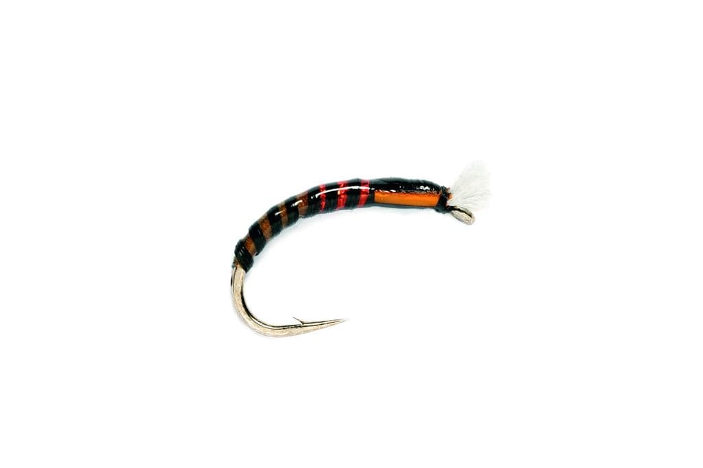 Red/claret buzzer
